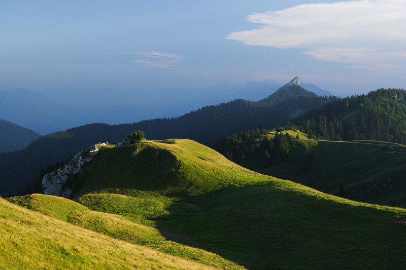 Pinéa depuis prairies du Charmant Som