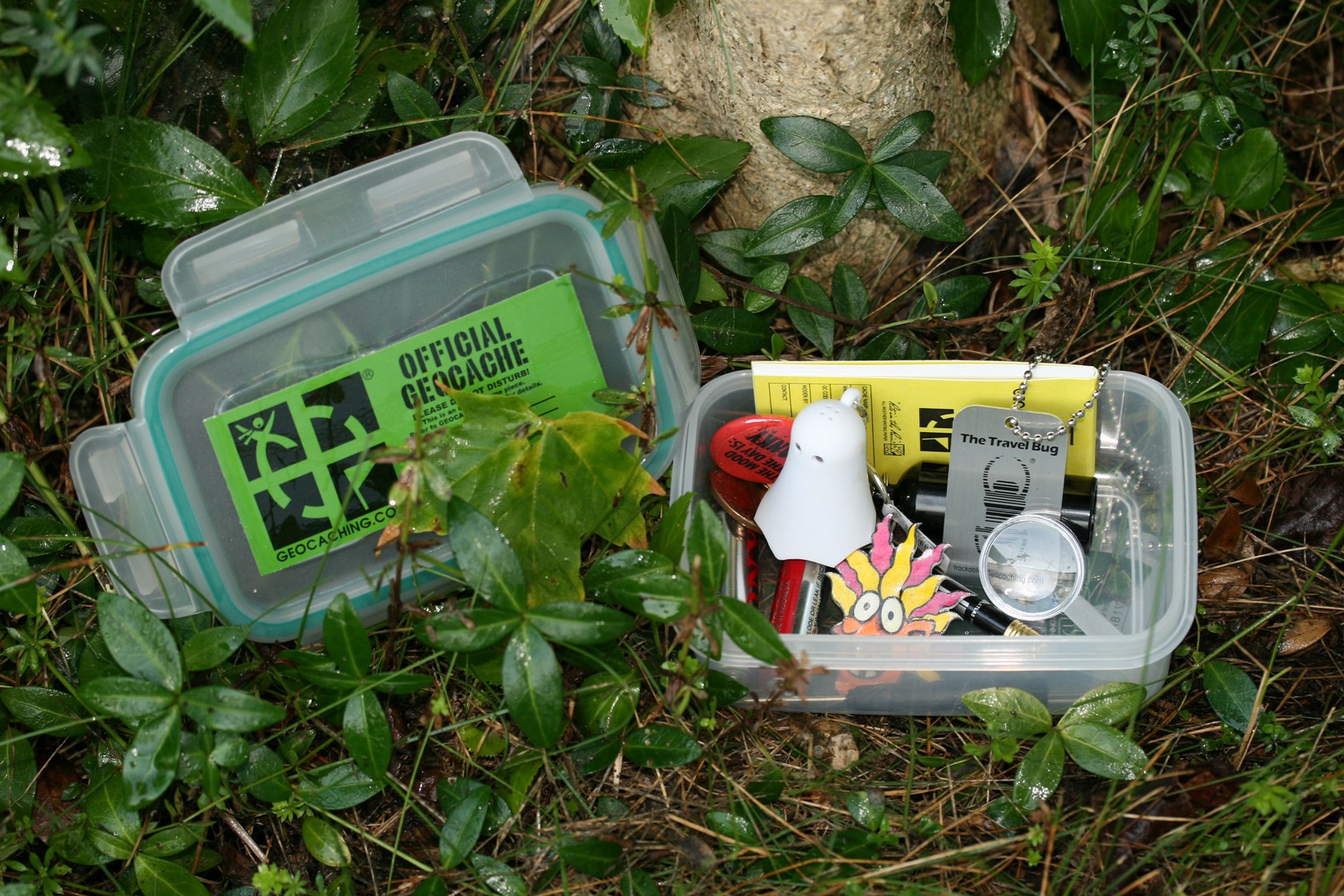 geocache4.jpg