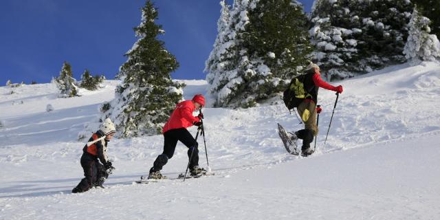 Arpenteur Chartreuse (57) Hd