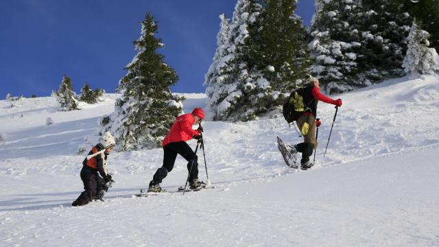 Arpenteur Chartreuse (57) Hd