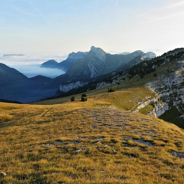 Sur Le Plateau Et Les Cretes De La Dent De Crolles