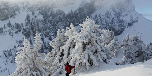 Descente a ski devant le Grand Som