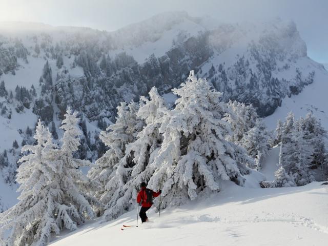 Descente a ski devant le Grand Som