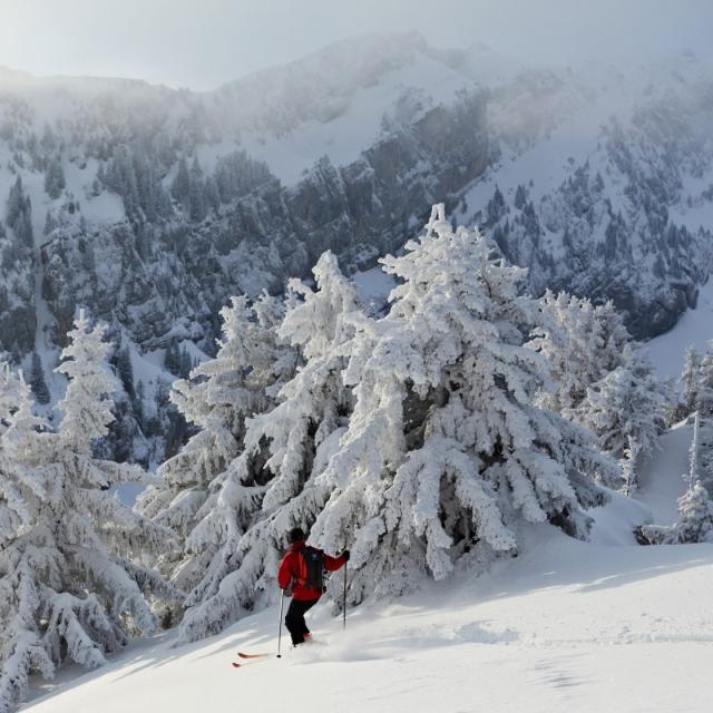 Descente a ski devant le Grand Som