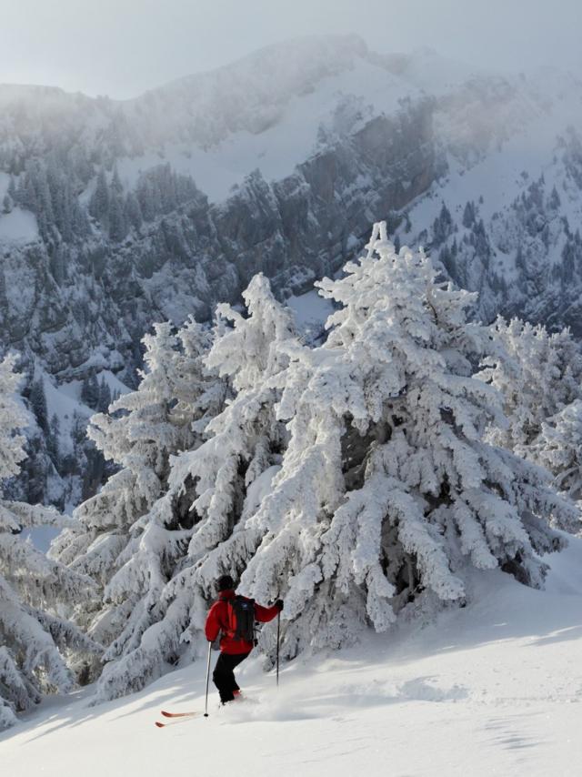 Descente a ski devant le Grand Som