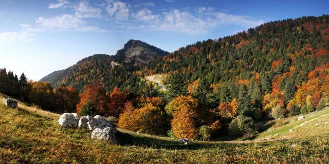 Col Des Ayes Automne