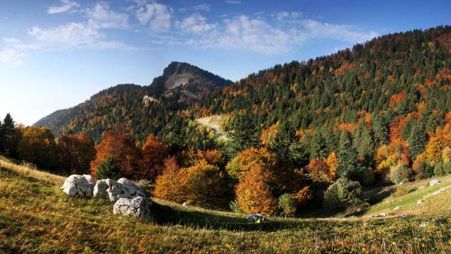 Col Des Ayes Automne