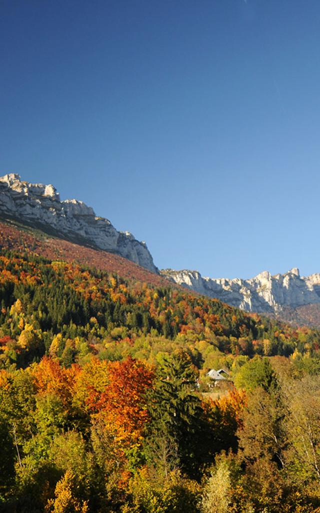 Automne Chartreuse St Hilaire Touvet