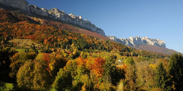 Automne Chartreuse St Hilaire Touvet