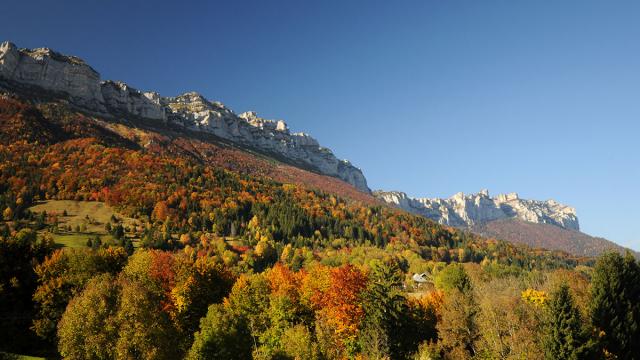 Automne Chartreuse St Hilaire Touvet