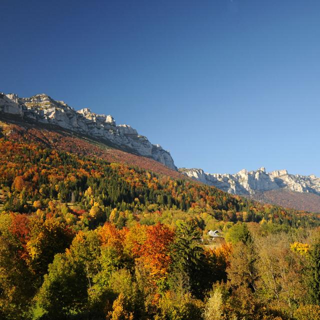 Automne Chartreuse St Hilaire Touvet