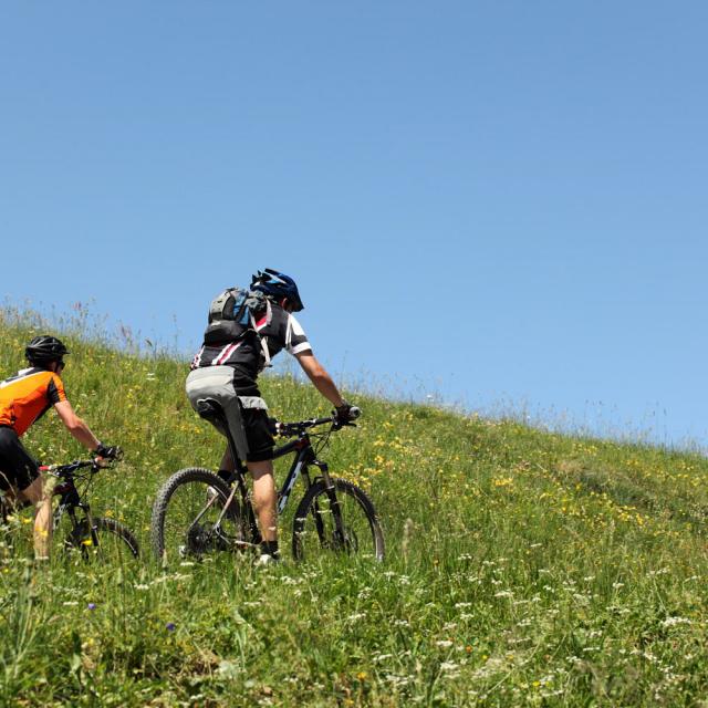 Vtt Chartreuse Encadrement