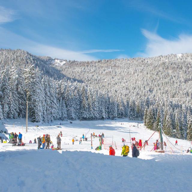 Col De Porte Ski Luge2