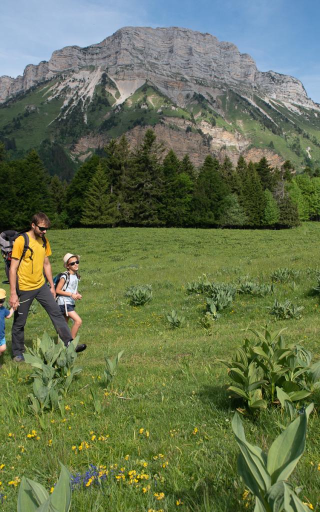 La Boucle Des Emeindras Chartreuse