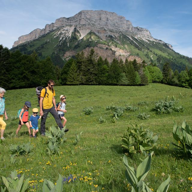 La Boucle Des Emeindras Chartreuse