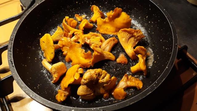 Girolles Bon Format