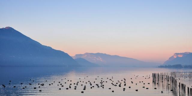 Le Lac Du Bourget