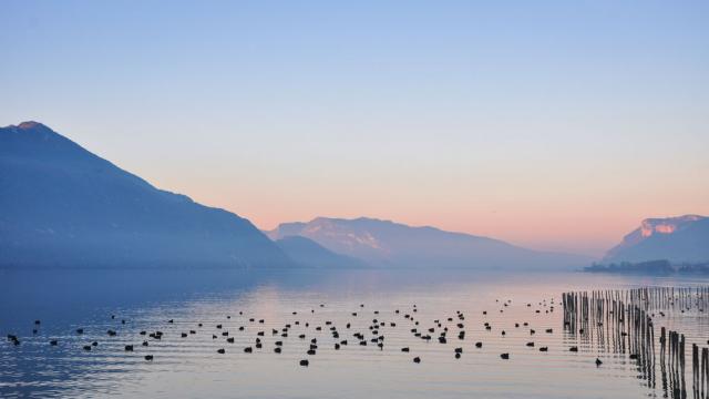 Le Lac Du Bourget