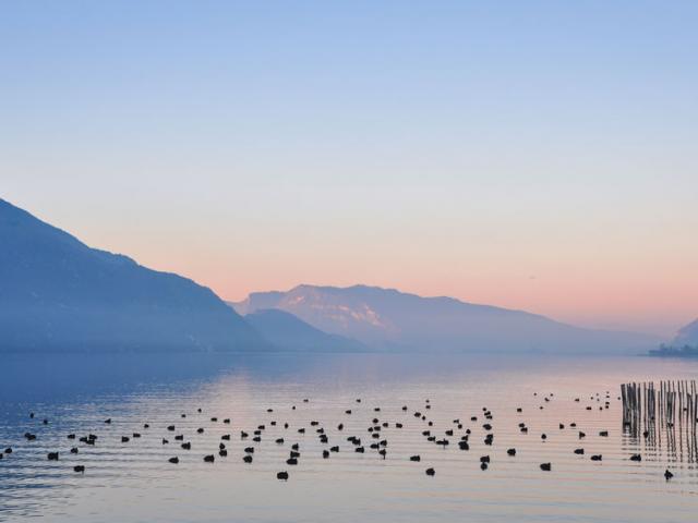 Le Lac Du Bourget