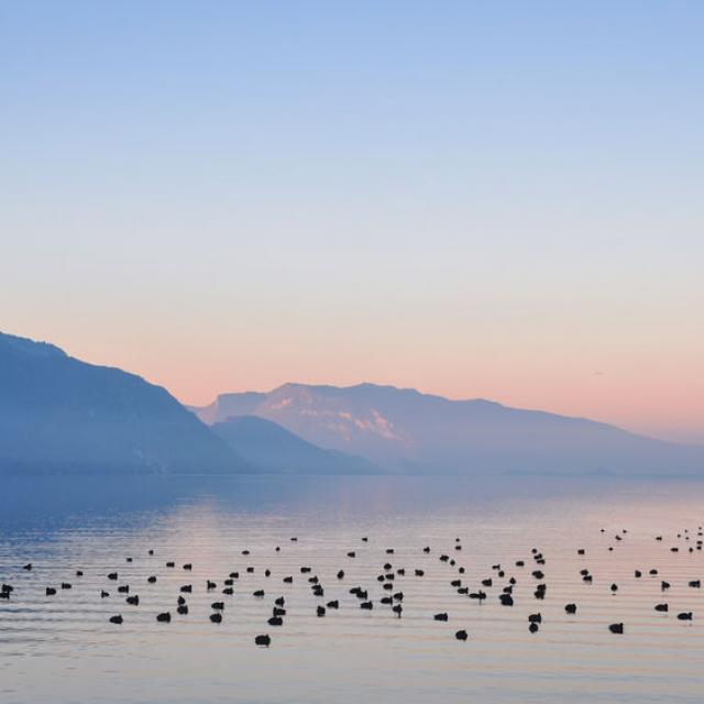 Le Lac Du Bourget