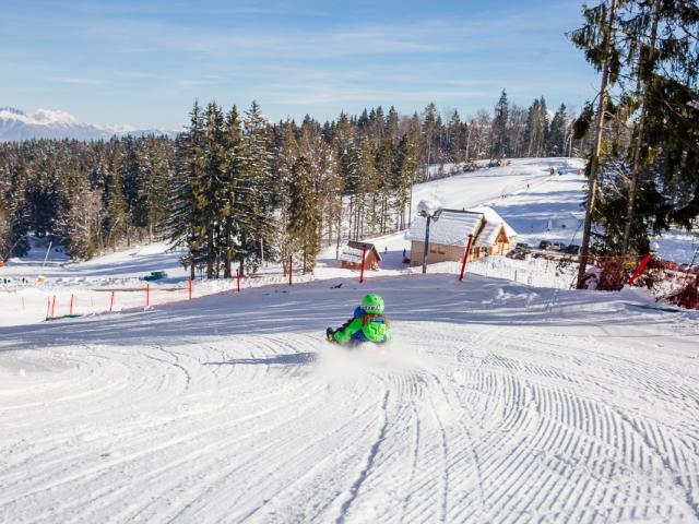 Luge Au Col De Marcieu