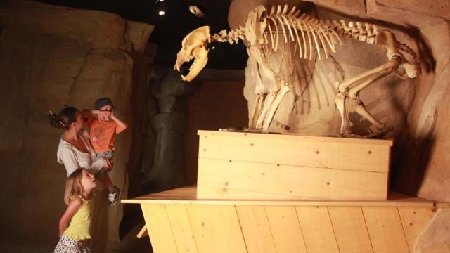 Musée De L'ours Des Cavernes Entremont Le Vieux