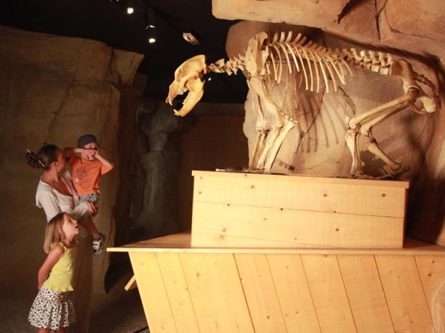 Musée De L'ours Des Cavernes Entremont Le Vieux