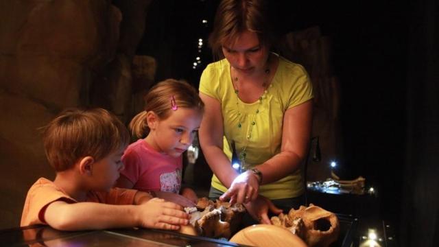 Musee Ours Cavernes Entremont Le Vieux