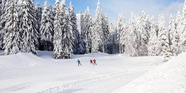 Ski De Fond Col De Porte