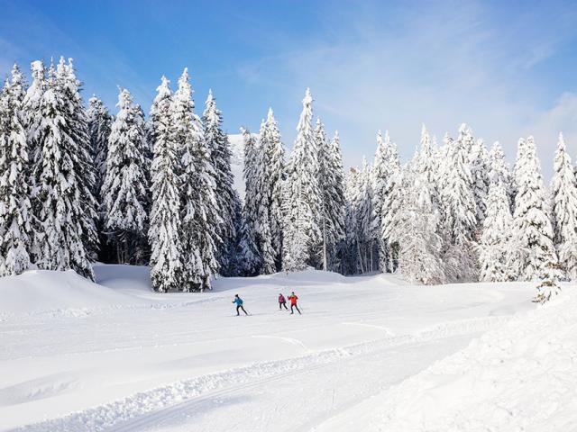 Ski De Fond Col De Porte