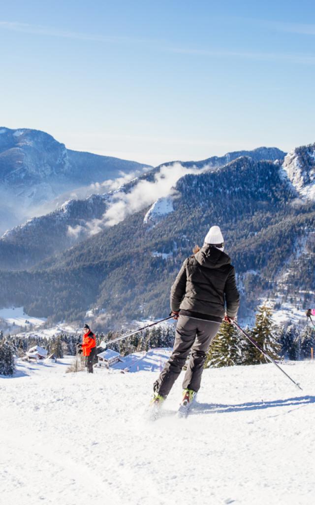 Ski Alpin Chartreuse