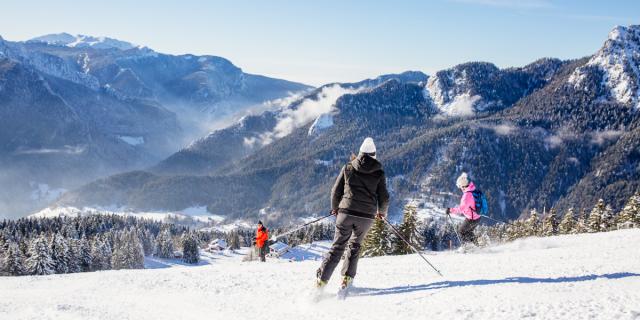 Ski Alpin Chartreuse