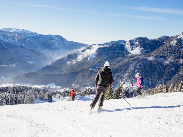 Ski Alpin Chartreuse