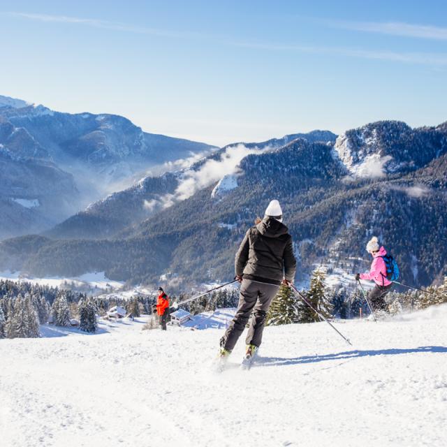 Ski Alpin Chartreuse