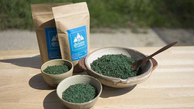 Spiruline Chartreuse