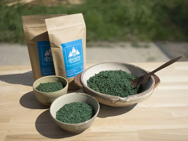 Spiruline Chartreuse