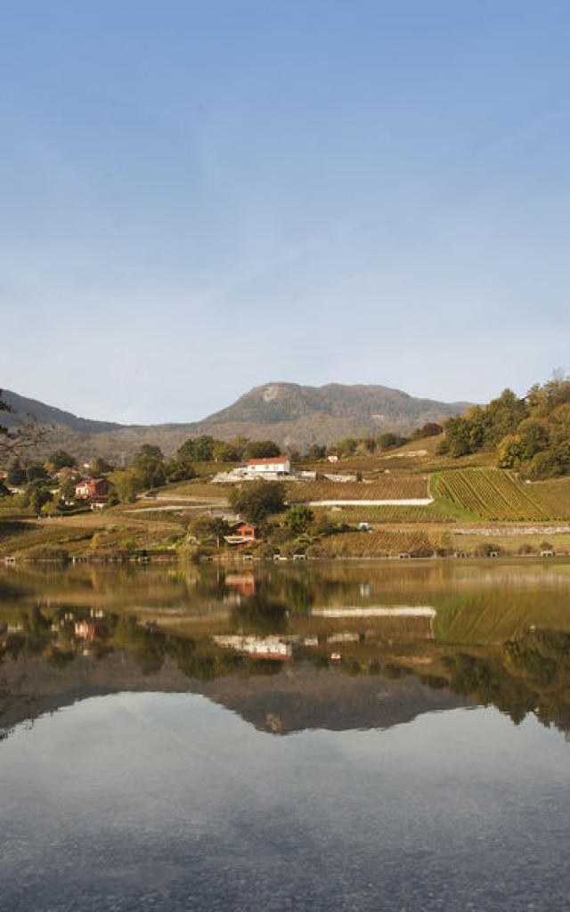 Le Lac De Saint André En Chartreuse