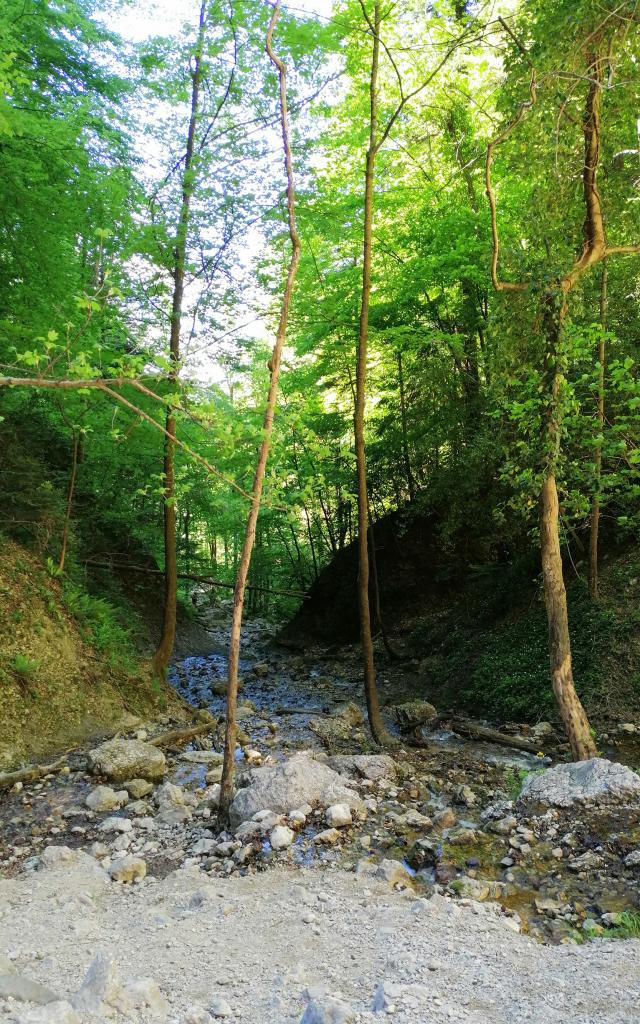 Accès à la cascade de la Pisserotte : l'arrivée, plus technique