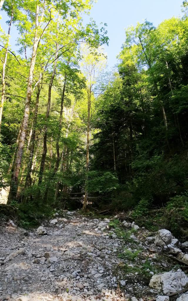 Accès la cascade de la Pisserotte, la deuxième partie au bord de l'eau