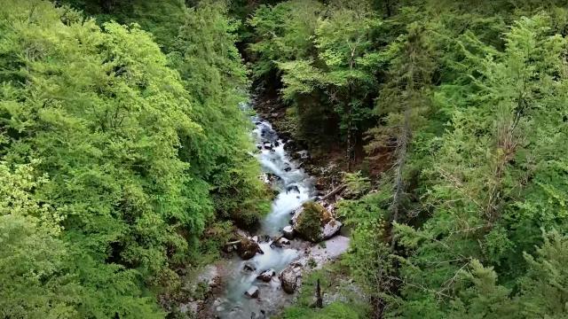 Roadtruite en Chartreuse - Le Guiers