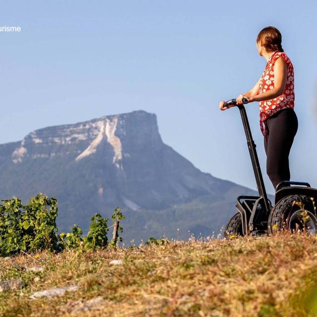 Segway Dans Les Vignes Chartreuse Porte De Savoie