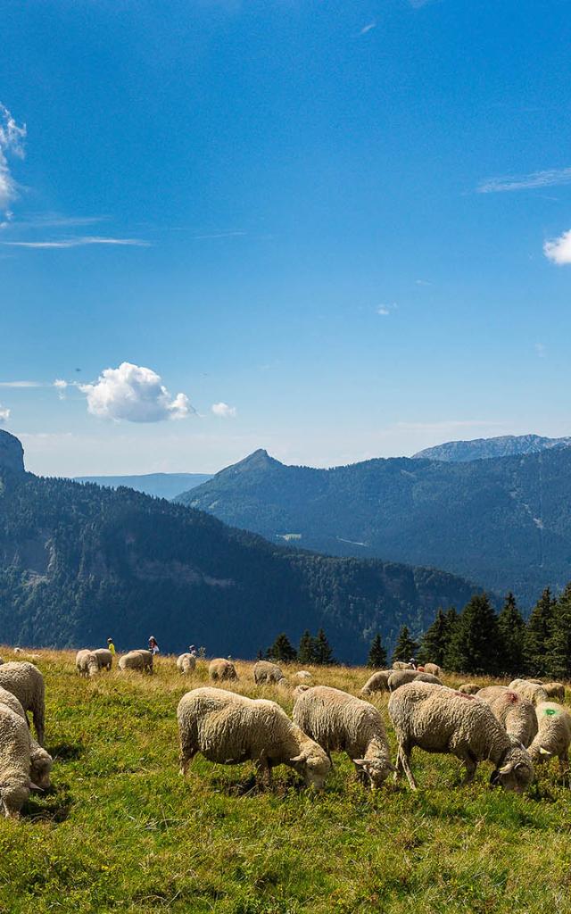 Espace naturel sensible de l'Isère, Col du Coq