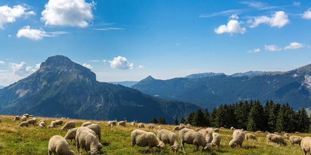 Espace naturel sensible de l'Isère, Col du Coq