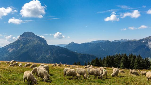 Espace naturel sensible de l'Isère, Col du Coq