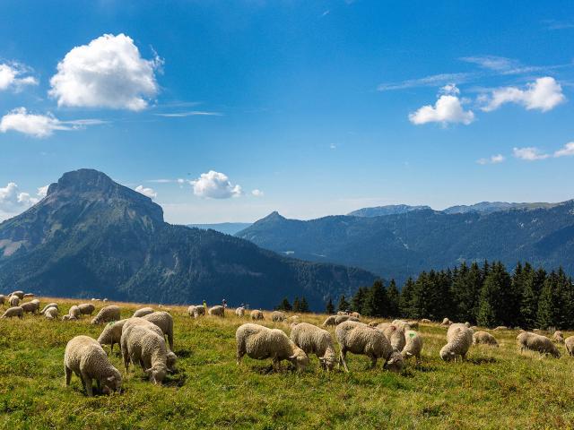 Espace naturel sensible de l'Isère, Col du Coq