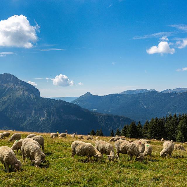 Espace naturel sensible de l'Isère, Col du Coq