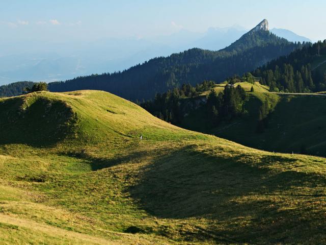 L'alpage du Charmant Som et la Pinéa