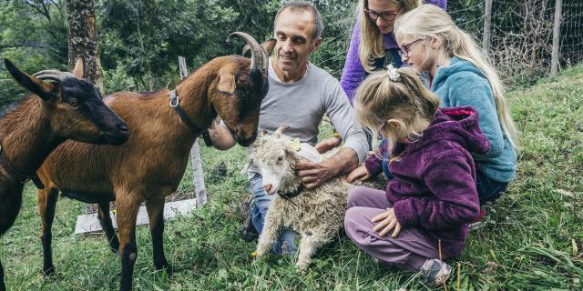 Gite a la ferme