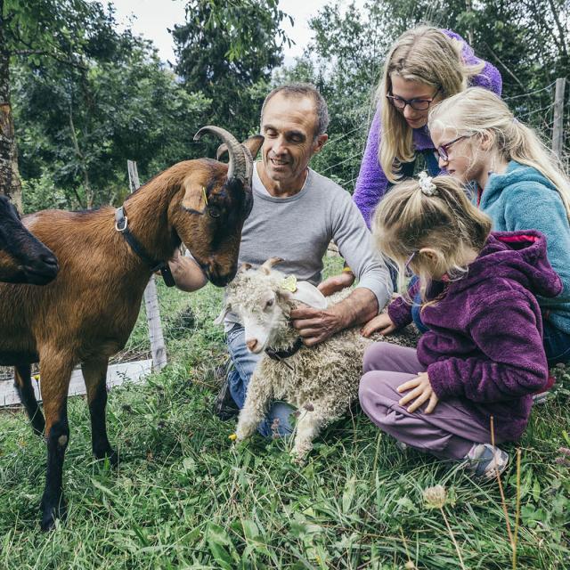 Gite a la ferme