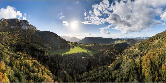 Entre St Laurent du Pont et le Col de la Placette